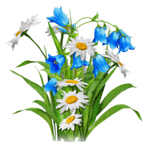 Flowers.Blue.White.Yellow - nemokama png