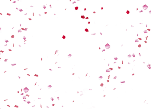 ✶ Petals {by Merishy} ✶ - PNG gratuit