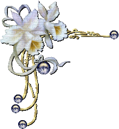 dolceluna corner flowers white gold - Darmowy animowany GIF