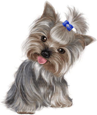 Kaz_Creations Animals Dogs Dog Pup 🐶 Colours - безплатен png