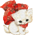 chaton blanc - GIF animé gratuit