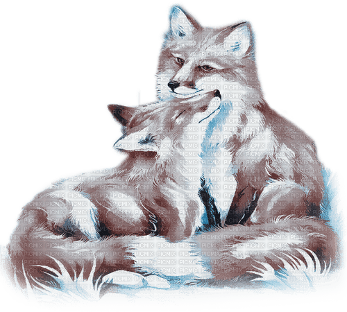 soave animals autumn deco fox couple - darmowe png