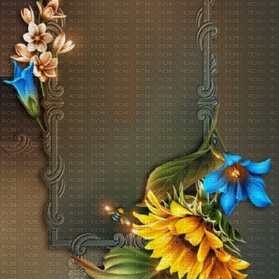 bg-frame-sunflower - Free PNG