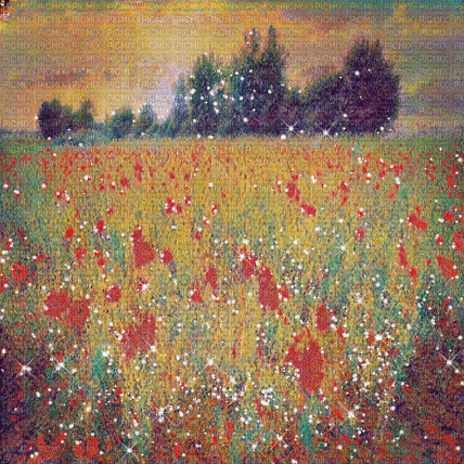 kikkapink background flowers spring field - Бесплатни анимирани ГИФ