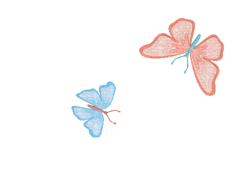 бабочка - Animovaný GIF zadarmo