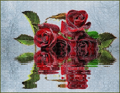 fond fleurs - Δωρεάν κινούμενο GIF
