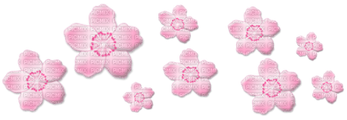 Sakura fleur rose pink flower nature - фрее пнг
