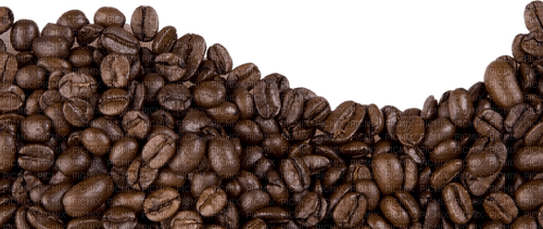 Background coffee. Leila - PNG gratuit