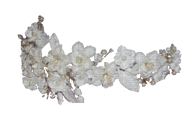 diademe fleur blanche - Безплатен анимиран GIF
