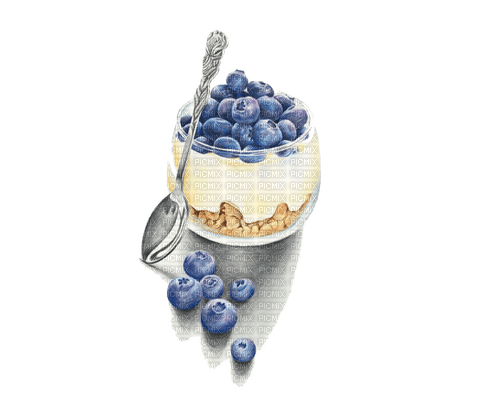 Blueberry Dessert - nemokama png