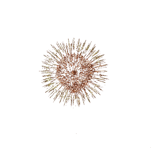 Fireworks - GIF animado gratis