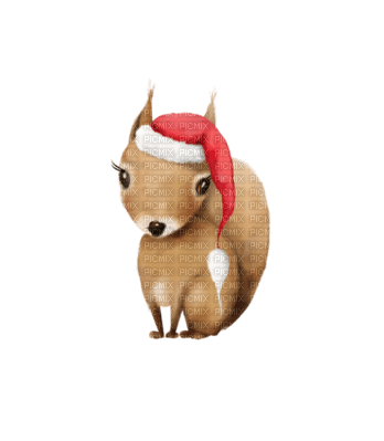 Ardilla con gorro de navidad - δωρεάν png