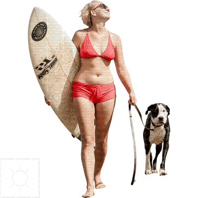 surfer bp - 免费PNG