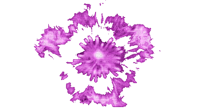 coe violet purple - Nemokamas animacinis gif