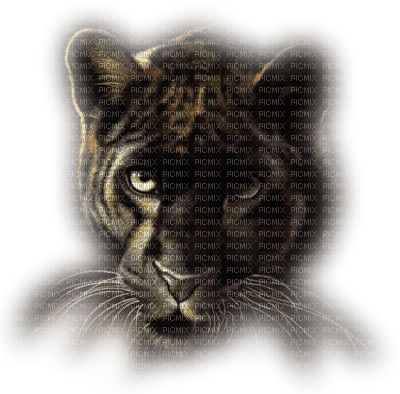 Leopard 2 - 免费PNG