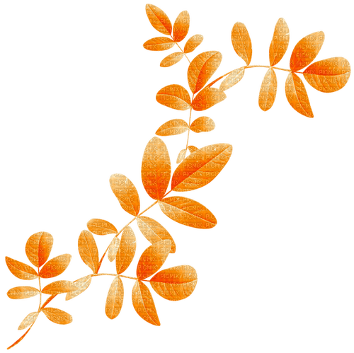 Branch.Leaves.Orange - PNG gratuit
