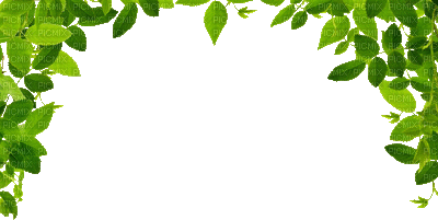 leaves bp - Безплатен анимиран GIF