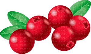 cranberries Bb2 - фрее пнг