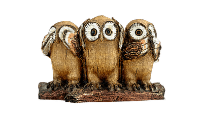 Owls by ravensong - png ฟรี