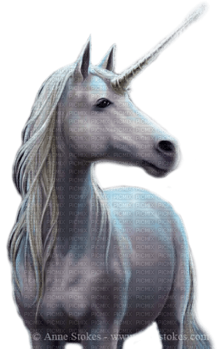 unicorn by nataliplus - PNG gratuit