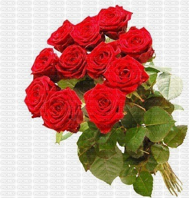 róże - PNG gratuit