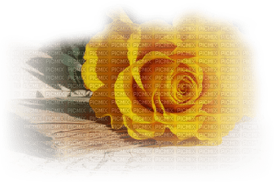 Róża1 - ücretsiz png