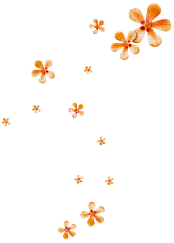 Flowers.Orange - δωρεάν png