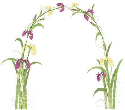flower frame. cadre fleur - kostenlos png