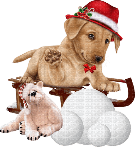 Christmas. Dog. Winter. Leila - Free PNG