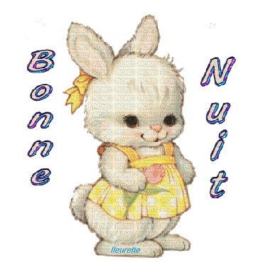 bonne nuit petite lapine - Gratis geanimeerde GIF