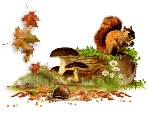 Autumn.Cluster.Scrap.Brown.Green.Red - Free PNG