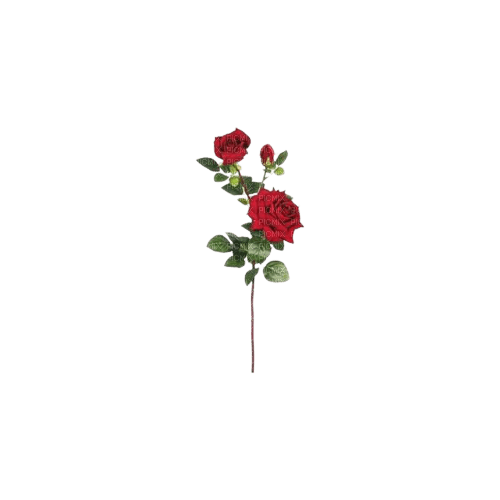 red roses - nemokama png