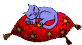 кошка - Zdarma animovaný GIF