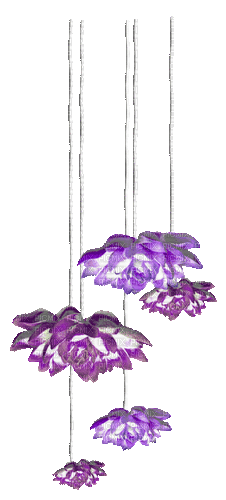 Flowers.Purple - By KittyKatLuv65 - Безплатен анимиран GIF
