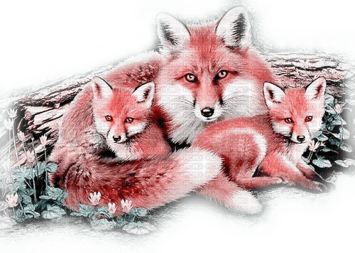 soave autumn fox animals pink green - png grátis