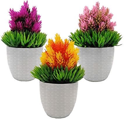 Blumentopf - kostenlos png