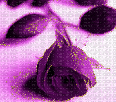 En violet - Gratis geanimeerde GIF