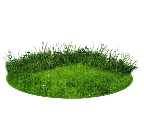 ✶ Grass {by Merishy} ✶ - 免费PNG