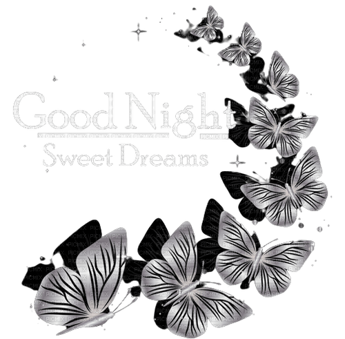 Goodnight butterfly - nemokama png