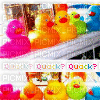 rubber ducks - GIF animé gratuit