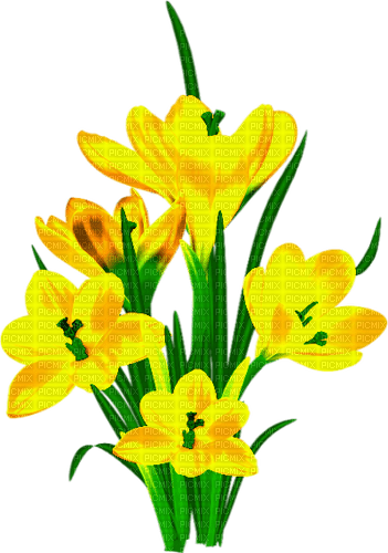Flowers.Yellow - besplatni png