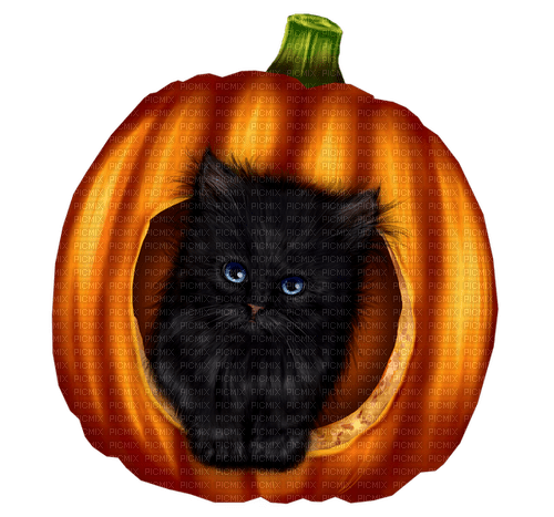 Autumn.Halloween.Cat.Black - PNG gratuit