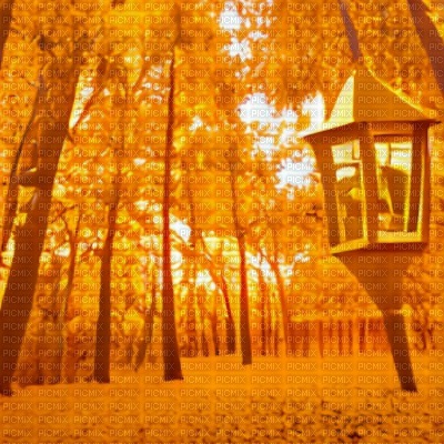 Gold Forest with Lantern - фрее пнг