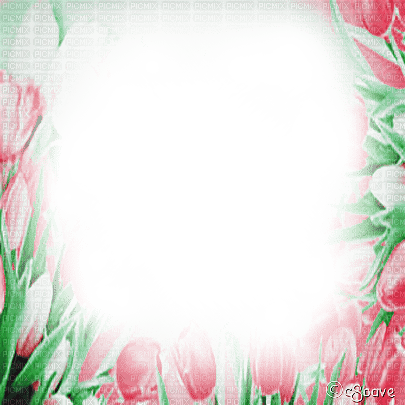 soave frame flowers tulips spring pink green - zdarma png