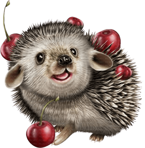 hedgehog igel animal fall autumn herisson - безплатен png