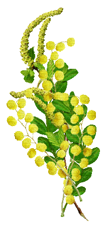 soave deco flowers animated yellow green - Darmowy animowany GIF