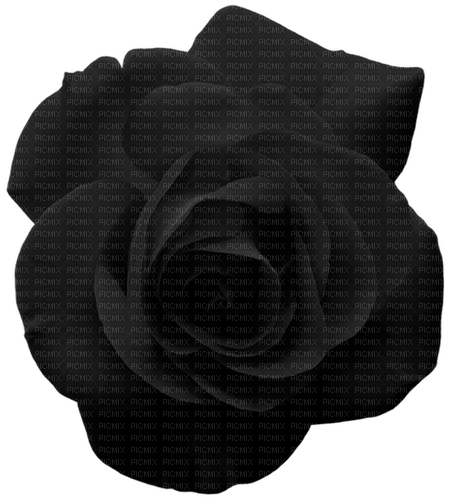 Rose.Black - PNG gratuit