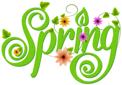 Kaz_Creations Spring Flowers Text - png gratuito