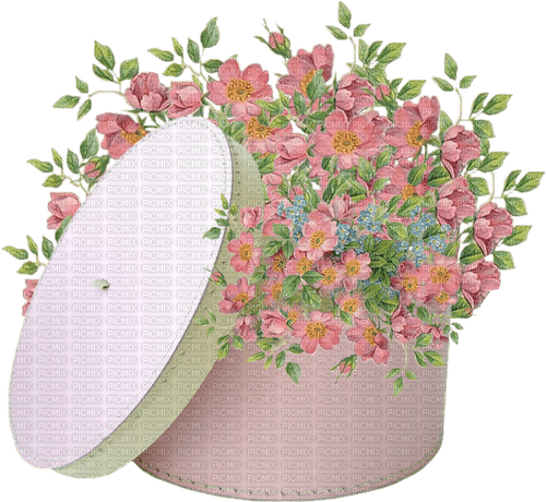 Boxed Flowers - PNG gratuit