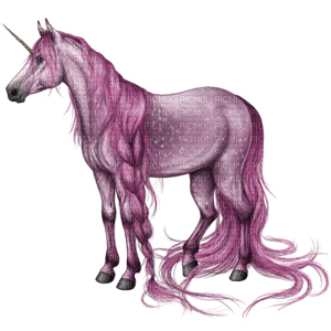 unicorn bp - безплатен png